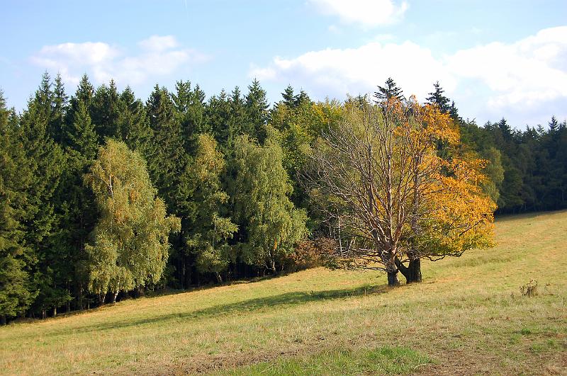 camlici_047.jpg