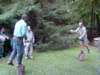 Photo Number 5