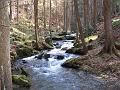 Vandr Kamenice