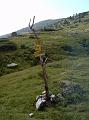 pirin_a_rila_08_32
