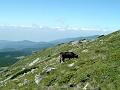 pirin_a_rila_08_74