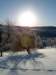 Photo Number 6