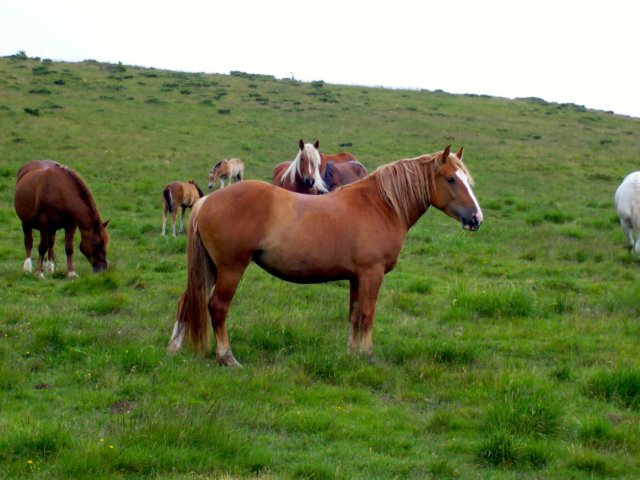 photo48.jpg