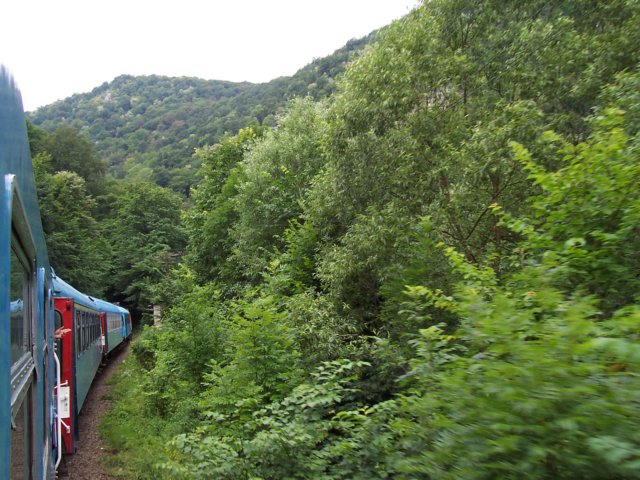 photo6.jpg