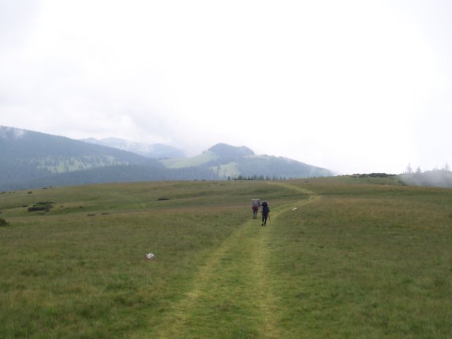 photo63.jpg
