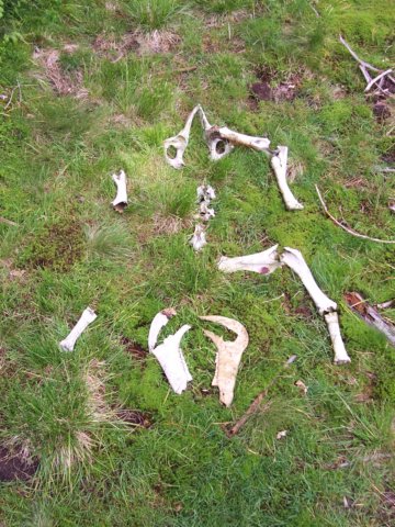 photo69.jpg
