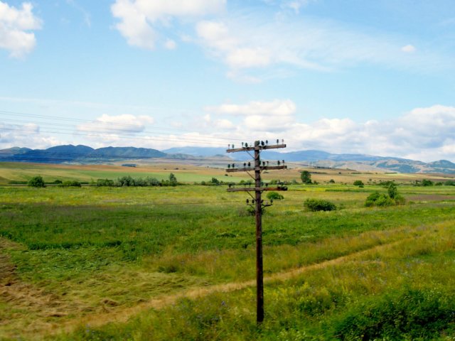 photo8.jpg