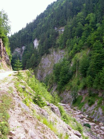 photo80.jpg