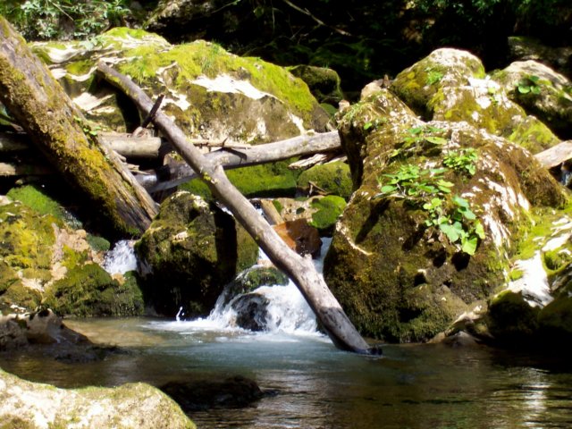 photo85.jpg