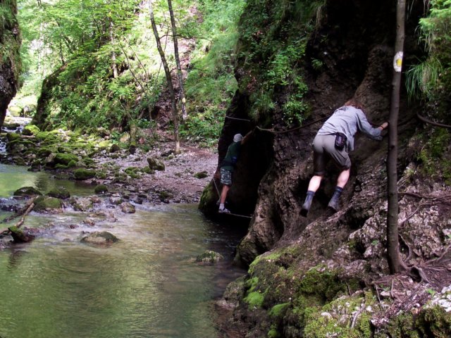 photo86.jpg