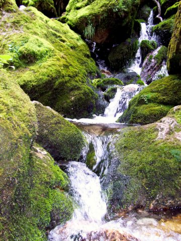 photo89.jpg