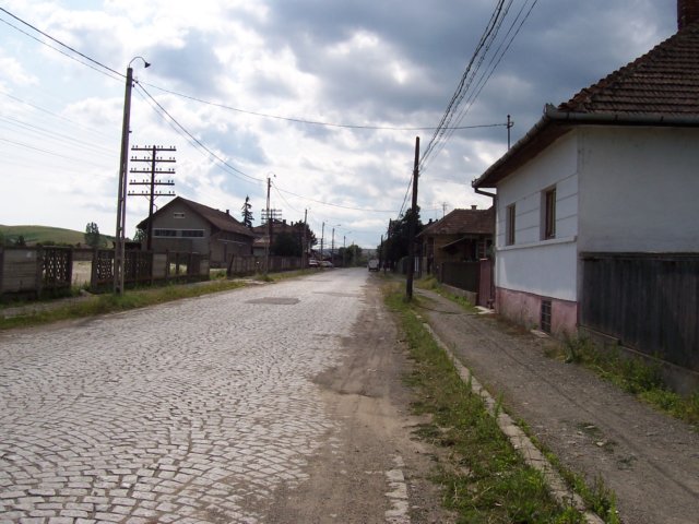 photo9.jpg