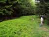Photo Number 13