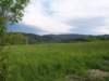 Photo Number 3
