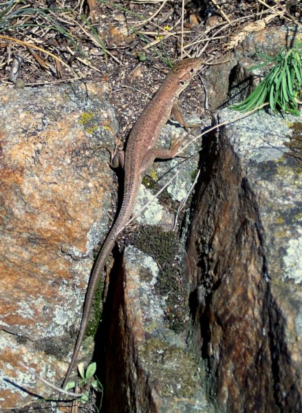 photo51.jpg