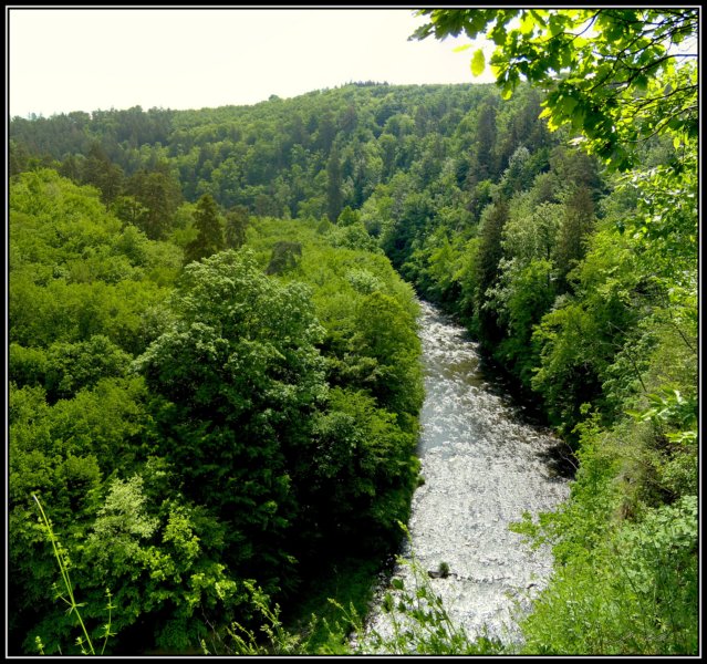 photo86.jpg