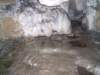 Photo Number 9