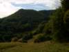Photo Number 5