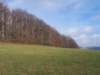 Photo Number 4