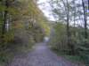 Photo Number 7